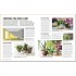 DK Grow Houseplants