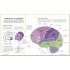 DK The Brain Fitness Book