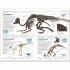 DK Dinosaurs