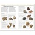 DK Handbook of Fossils