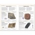 DK Handbook of Fossils