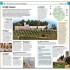 DK Eyewitness Top 10 Florence and Tuscany