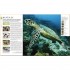 DK The Natural History Book