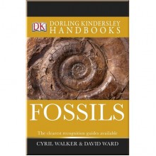 DK Fossils