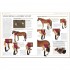 DK Complete Horse Care Manual