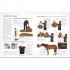 DK Complete Horse Care Manual