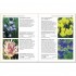 DK RHS Plants for Places