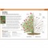 DK RHS Pruning Plant by Plant