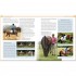 DK Complete Horse Riding Manual