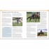 DK Complete Horse Riding Manual