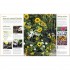 DK RHS How to Grow Practically Everything