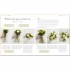 DK Simple Flower Arranging