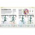 DK The Complete Running and Marathon Book