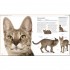 DK The Cat Encyclopedia
