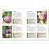 DK RHS Grow Fruit and Veg Guide