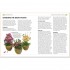 DK RHS Good Plant Guide