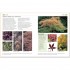 DK RHS Good Plant Guide