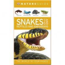 DK Nature Guide Snakes and Other Reptiles and Amphibians