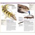 DK Nature Guide Snakes and Other Reptiles and Amphibians