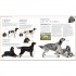 DK The Dog Encyclopedia