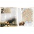 DK World War II