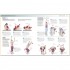 DK Core Strength Training
