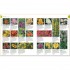 DK RHS What Plant Where Encyclopedia