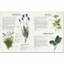 DK The Herb Garden for Cooks