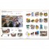 DK Polish-English Bilingual Visual Dictionary