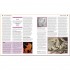 DK The Mythology Book