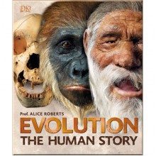 DK Evolution