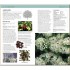DK Herbal Remedies Handbook