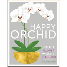 DK Happy Orchid