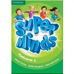 Super Minds 2 Flashcards