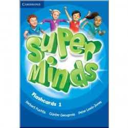 Super Minds 1 Flashcards