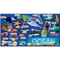 Ocean Plants and Animals Mini Bulletin Board