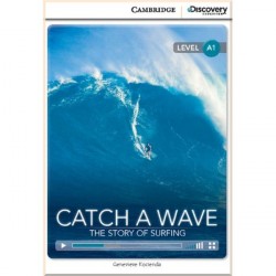 Catch a Wave: The Story of Surfing