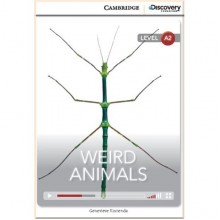 Weird Animals