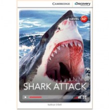 Shark Attack