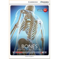 Bones and the Stories They Tell