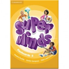 Super Minds 5 Flashcards