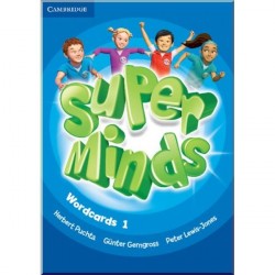 Super Minds 1 Wordcards